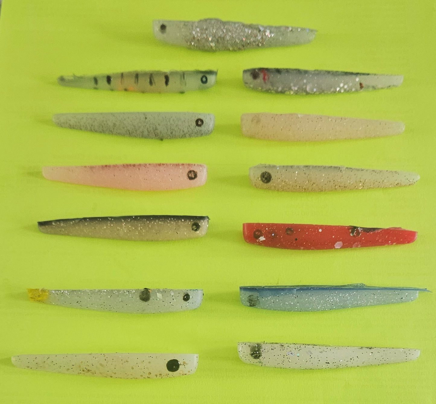 13 3" Swamp Guppies in various fish catching colors